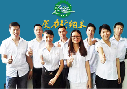 贺力斯公司